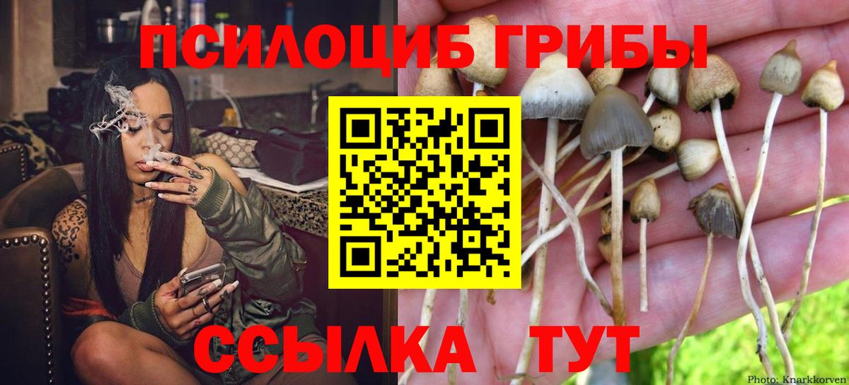 Тельмана  Галлюциногенные грибы Psilocybe  Вход с VPN 